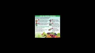 Лектины . Как уменьшить лектины в продуктах ? Что нужно делать?