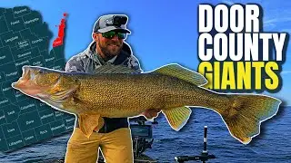 CRUSHING BIG Door County Walleyes on the BEST Summer Walleye Lure!