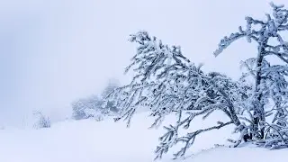 Calming HEAVY SNOWSTORM. Soothing WIND SOUNDS, BLIZZARD NOISE - 10 hours for rest, and deep sleep