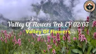 Valley of Flowers Trek | EP 02 | Valley of Flowers | Trekking Through Himalayan Paradise | 4K