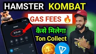 Hamster kombat gas fees 🔥| Hamster kombat gas fees कैसे milenga | Hamster kombat ton add kaise kare