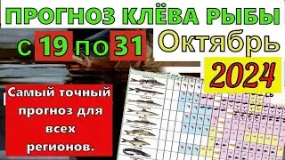 Прогноз клева рыбы на Эту неделю с 19 по 31 Октября Лунный Календарь рыбака на октябрь 2024