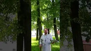 Старцы-отшельники шутят| № 16 #shorts
