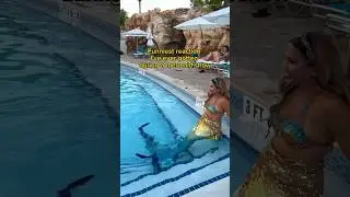 They didn’t expect that 😂 #mermaid #surprise #funny #professionalmermaid