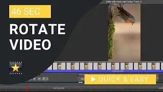 VideoPad Tutorial: How to Rotate Video in VideoPad