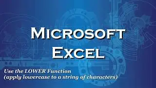 Excel 2016 Use the LOWER Function to apply lowercase letters to a cell