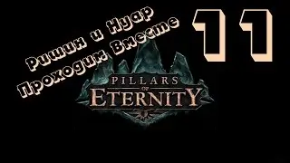 Ришин и Нуар. Храм Эотаса второй заход. Pillars of Eternity прохождение. Паладин. Серия 11.