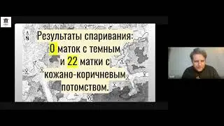 .Облетные станции часть 2, места сбора трутня,Продолжение беседы с @imkereihonigviertel