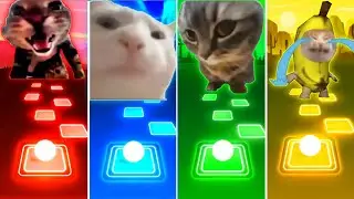 Doorbell Cat vs Vibing Cat vs Chipi Chipi Chapa Chapa Cat vs Banana Cat - Tiles Hop EDM Rush