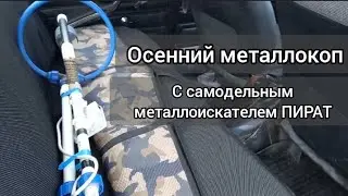 осенний металлокоп на старой ферме (архивное видео)