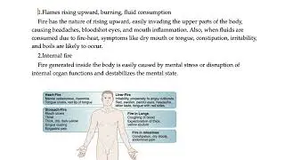 Etiology in TCM