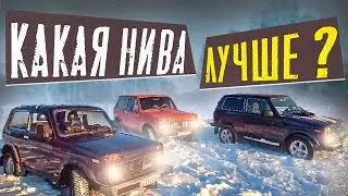 НИВЫ ПО СНЕГУ/РАЗНЫЕ ПОКОЛЕНИЯ 