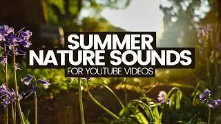 Nature Sound Effects For YouTube Videos (No copyright Royalty-free audio)