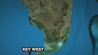 Spearfisherman bitten by shark off coast of Key West