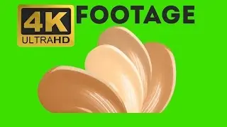 Foundation Shade - Free Green Screen Effects 4K