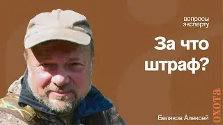 За что штраф? Алексей Беляков о том, штрафуют ли за породу?