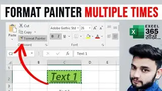 Use Format Painter in Excel Multiple Times | Multiple Times use of Format Painter in Excel 