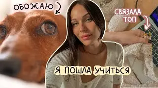 влог | я пошла учиться, что с животными, довязала летний топ, любимые блогеры, планы на будущее ✨