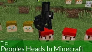 How To Get People's Heads In Minecraft