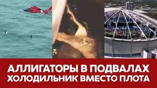 🔴 СРОЧНО Аллигаторы в домах жителей Флориды Последствия урагана в США 