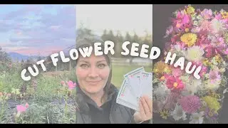 Cut Flower Seed Haul || Carissa's Garden || Sharing my seed haul for my upcoming year flower farming