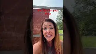 Protect Your Flock ! Overhead Predators 