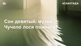 Чучело лося руками не трогать. Как мы (не вовремя) полюбили краеведение