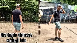 Wow Vean Cuántos Kilómetros Caminamos Para Llegar Donde Vive El Lobo?