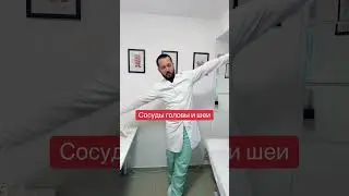 Тест на сосуды шеи и головы