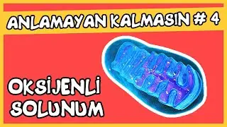 Anlamayan Kalmasın #4 Oksijenli Solunum