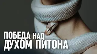 7 признаков того, что вас атакует ДУХ ПИТОНА