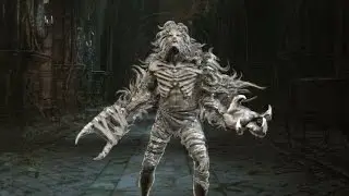 Bloodborne PVP - Beast Mode - Beasts Embrace Rune and Beast Claws