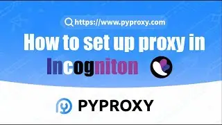 PYPROXY|How to set up proxy in Incogniton Browser?