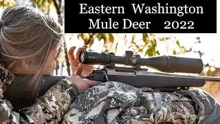 LOOKING FOR FIRST BUCK! | 4K VIDEO |  WASHINGTON MULE DEER HUNT