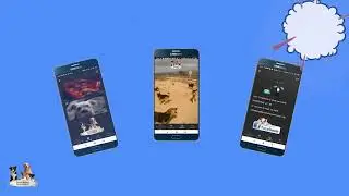 Poochies App Demo