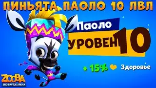 ПИНЬЯТА ПАОЛО - КАЧАЕМ 10 УРОВЕНЬ!!! БОИ 5 НА 5 В ИГРЕ ZOOBA