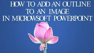 How to Add an Outline to an Image in Microsoft PowerPoint  