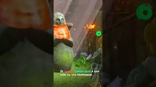 Как увеличить запас здоровья и выносливости в The Legend of Zelda?[Nintendo Switch][FAQ]