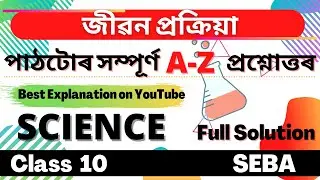Class 10 Science Chapter 6 Question Answer in Assamese | SEBA | Let's Approach