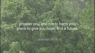 Jeremiah 29:11 | NIV | Bible Verse (with Rain)