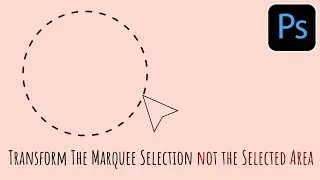 Photoshop - Transform a Selection Marquee - Scale a the Marquee not the Selected Area