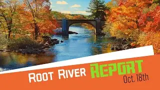 Root River Report, October 18th 2024