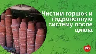 №46 Как прочистить гидропонную систему и горшок после цикла