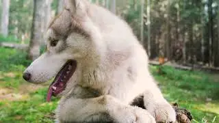 Look at this thing.......