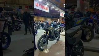 NEW 2025 Yamaha Tenere 700 Low Firat Look 
