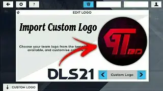 How To Import Custom Logo in DLS 2021