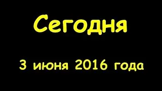 Какой сегодня праздник 3 июня 2016