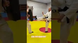 Разбор техники удара мае-гери. Asai Ryu karatedo. 
