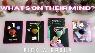 🧞‍♀️ What's On Their Mind? 💓 Platonic OR Romantic 🌸 Pick A Group 🦩 Tarot Reading