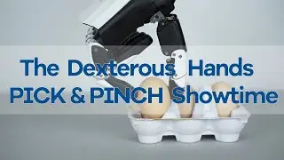 The Dexterous Hands of PICK & PINCH！Come to witness the power of two-finger crushing!